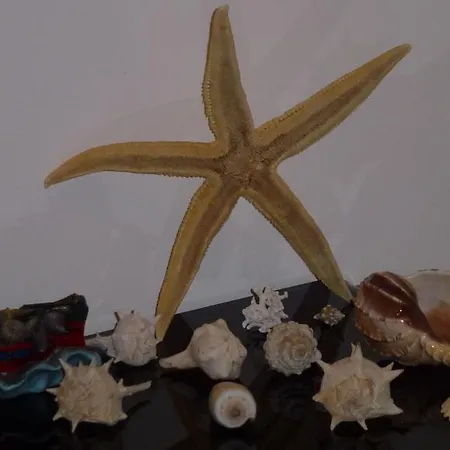 Sea Star Apartmán Cefalù